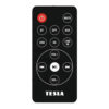 Пульт для TESLA Primesound HQ880 (фото пульта)